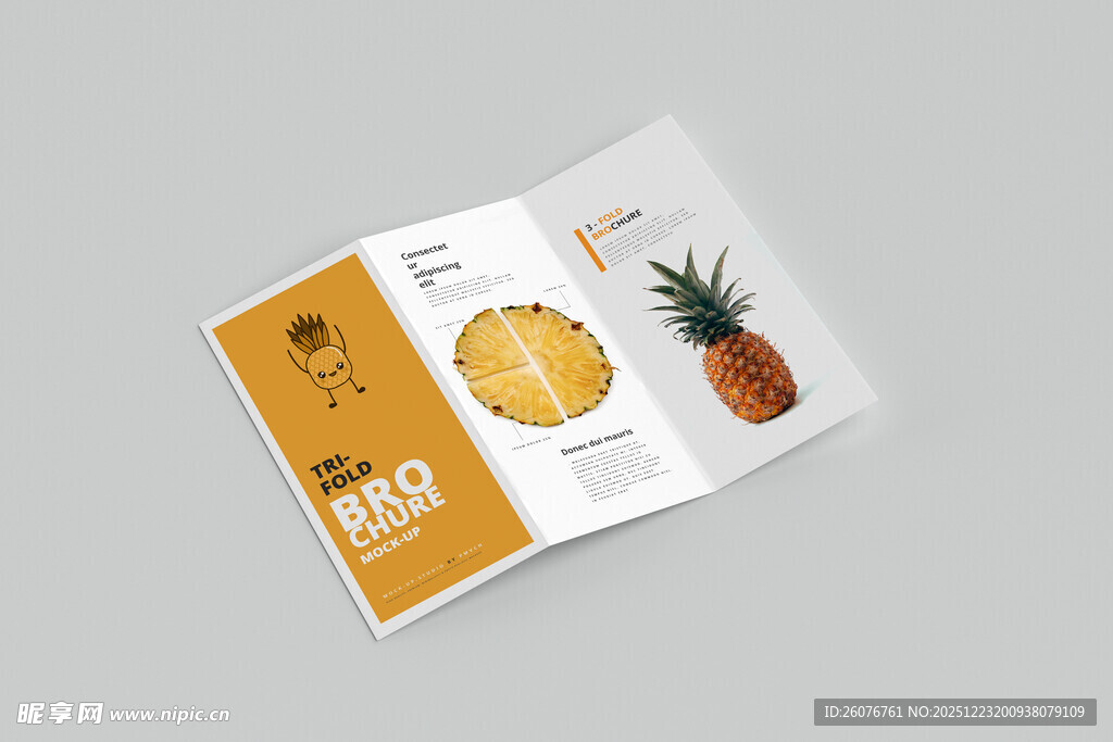 折页样机图片