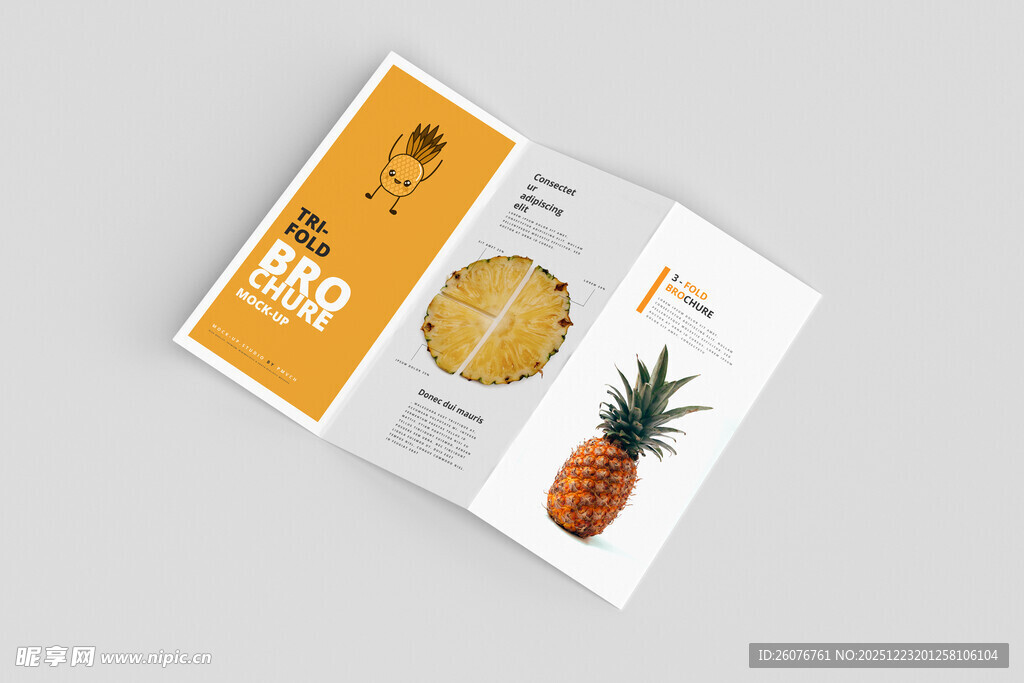折页样机图片
