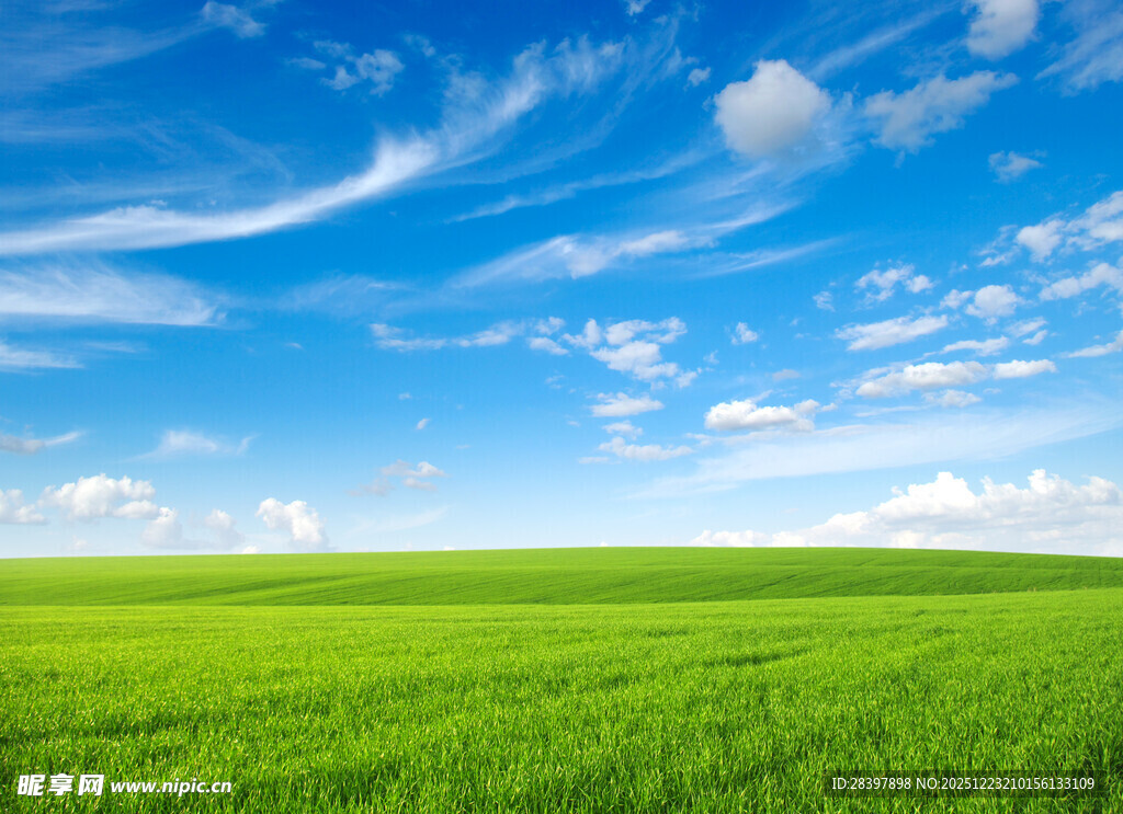 广袤绿野 蓝天白云之景