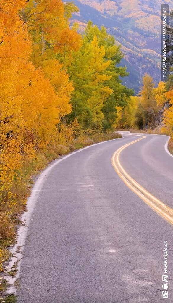 秋日蜿蜒公路美景