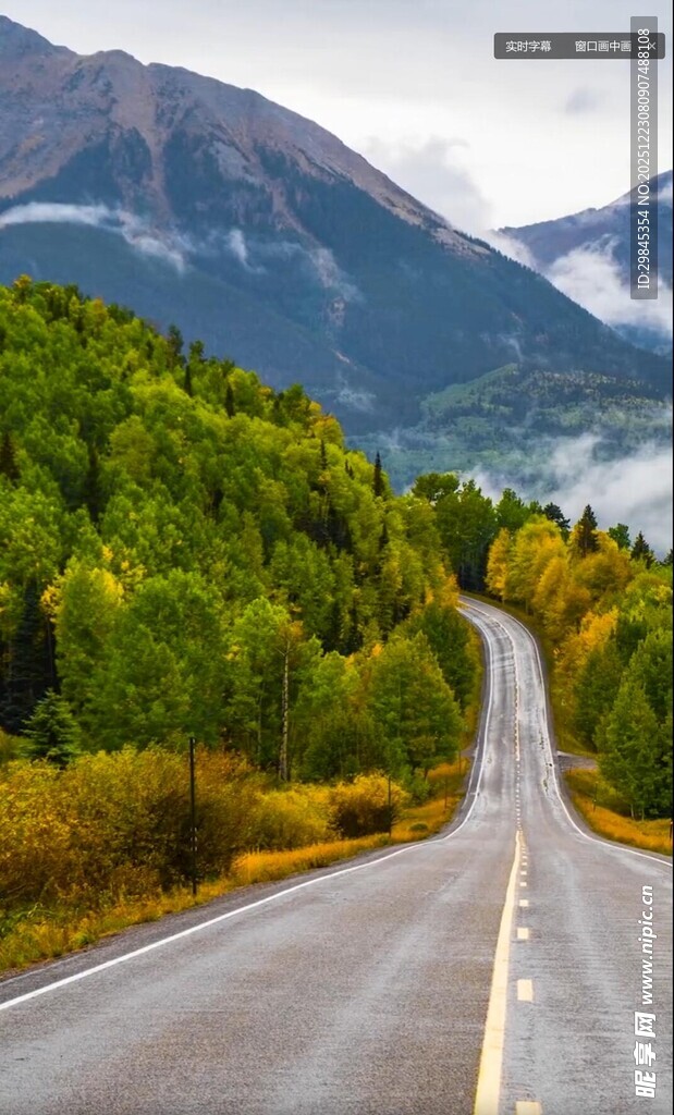蜿蜒公路穿行于山林之间