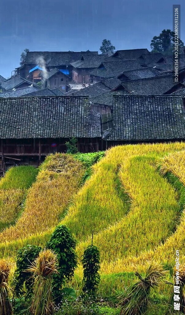 梯田旁的古朴村落