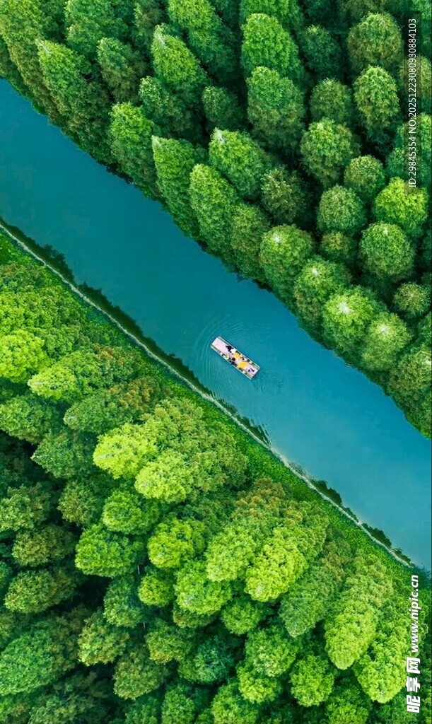 俯瞰河上孤舟与葱郁林木