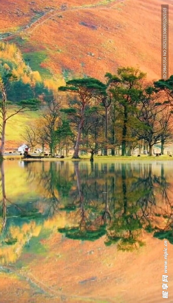 秋日湖畔美景倒影如画