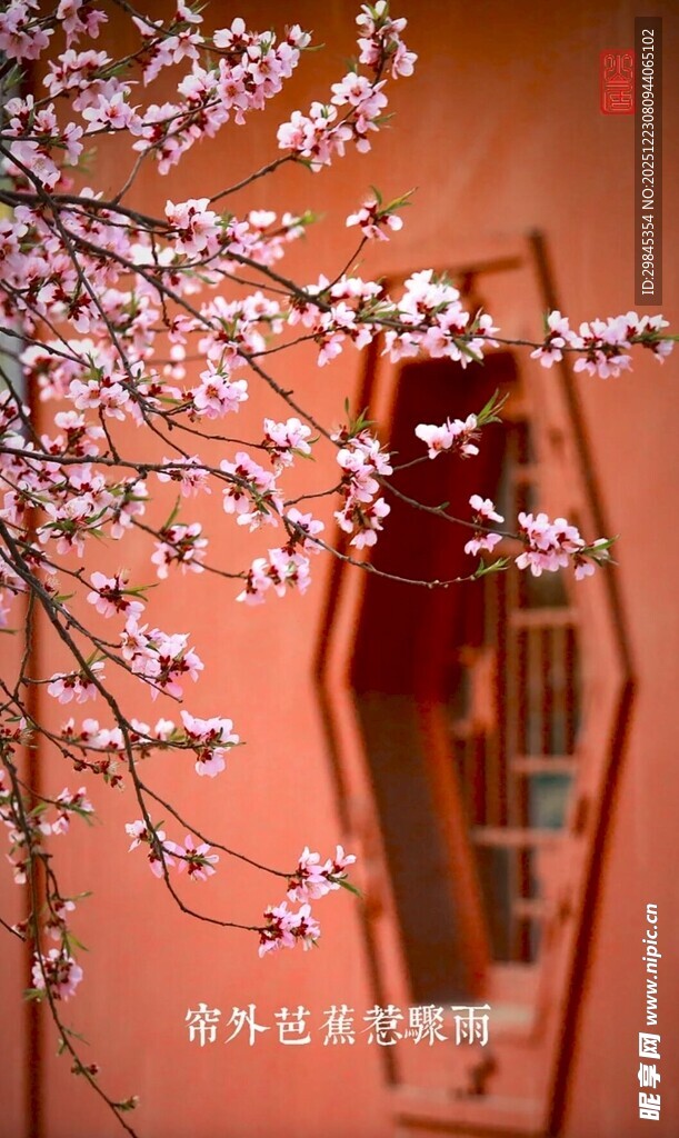 粉色花枝旁的红色连衣裙