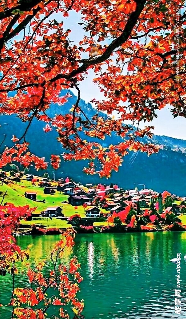 湖畔红叶美景如画