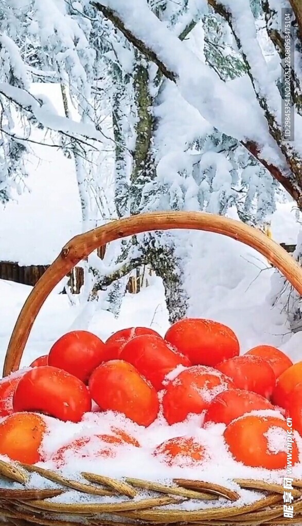 雪中红果置于篮中