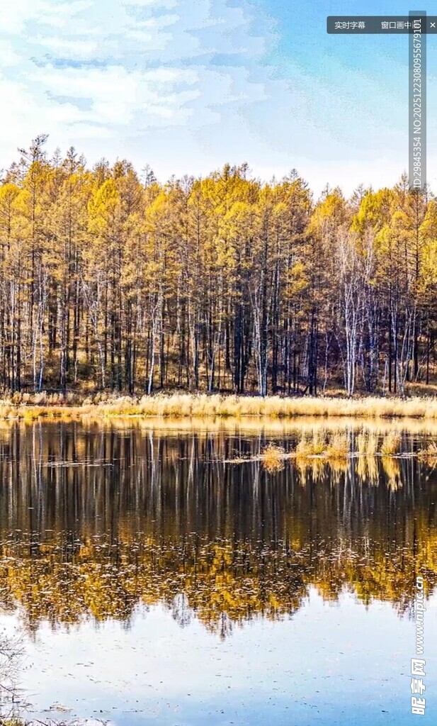 秋日湖畔树林倒影美景