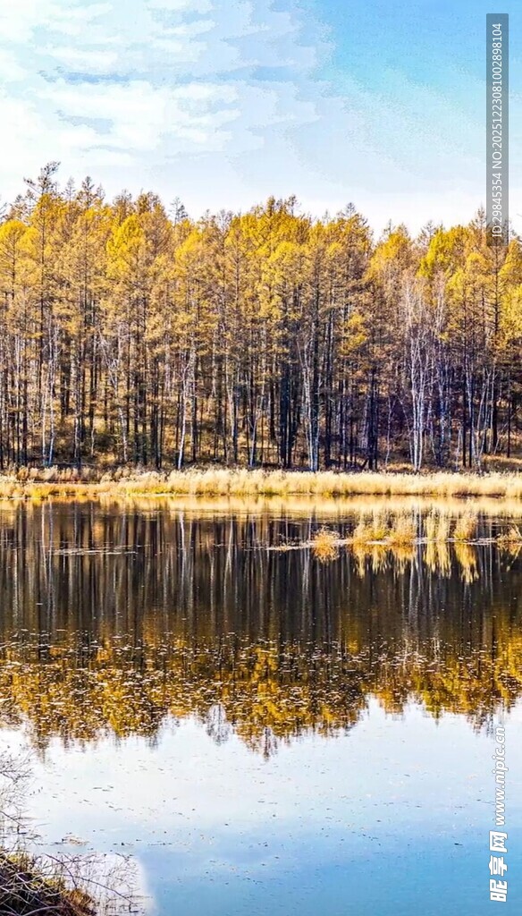秋日湖畔树林倒影美景