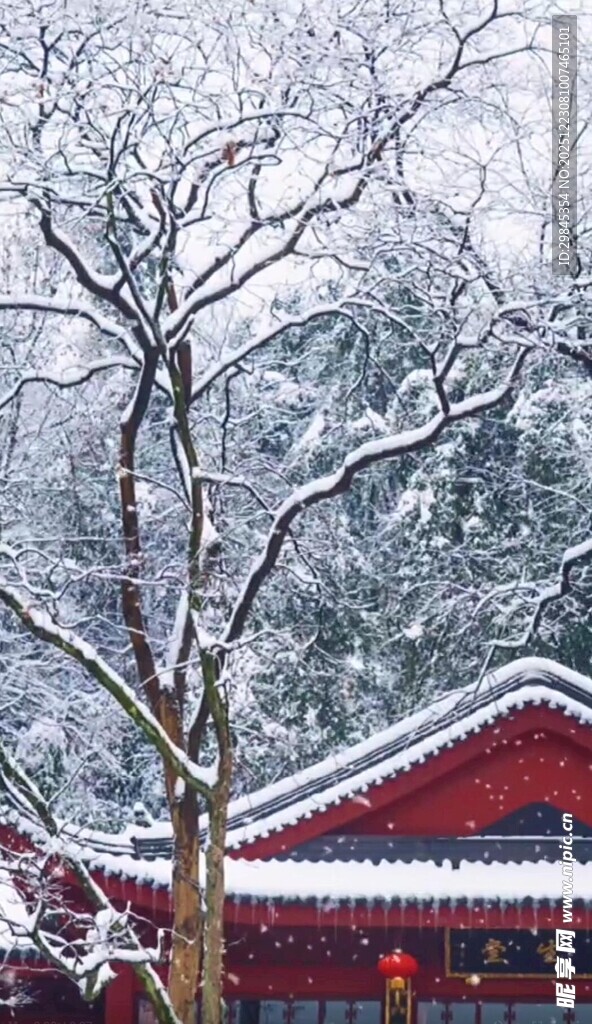 雪覆红瓦古建