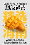 海南精选鲜芒果宣传海报