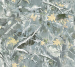 抽象树叶纹理图案