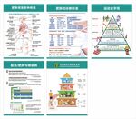 肥胖的危害一套6张 