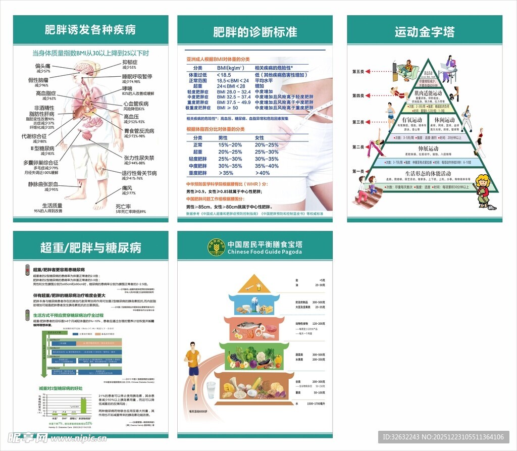 肥胖的危害一套6张 