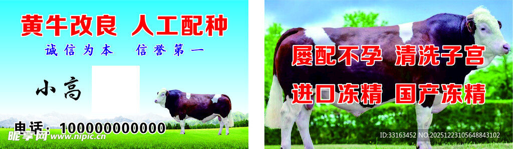 黄牛改良名片