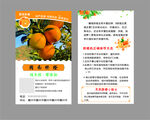 赣南橙子名片