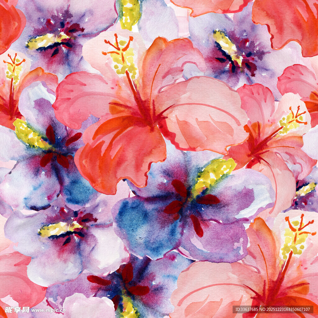 水彩绘多彩木槿花图案