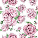 粉色玫瑰花卉无缝图案