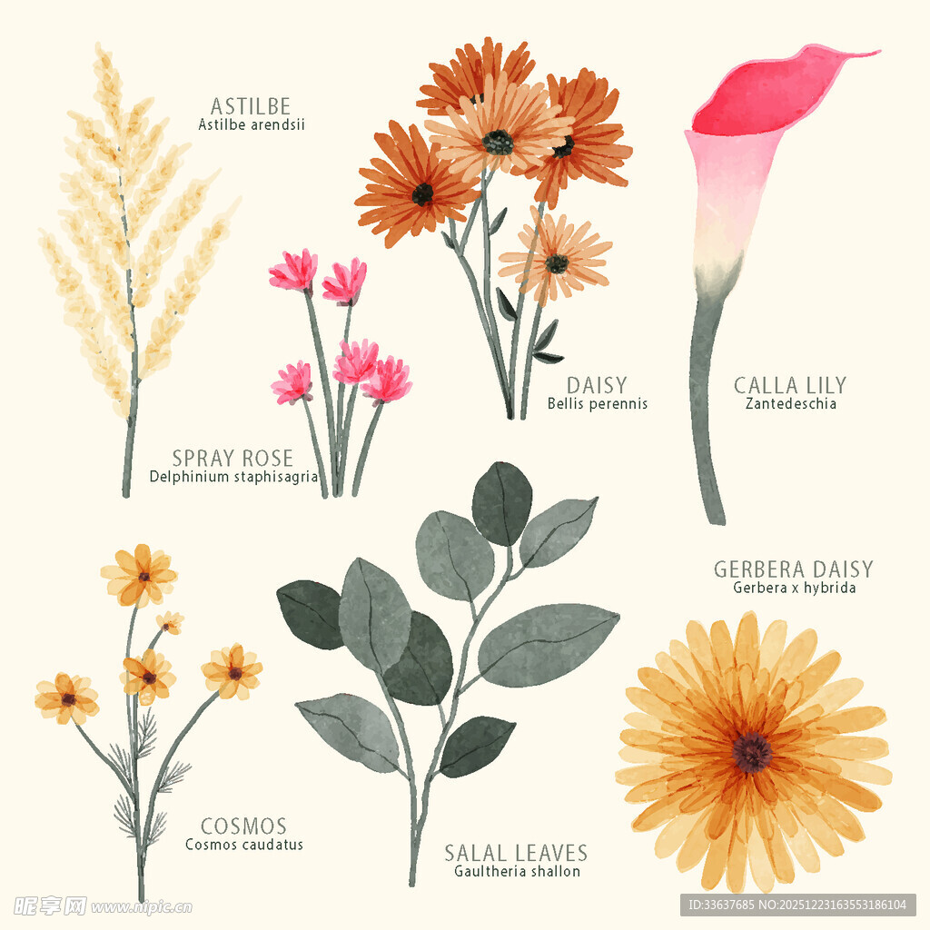 手绘多彩花卉植物图案