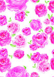 粉色玫瑰花卉图案背景