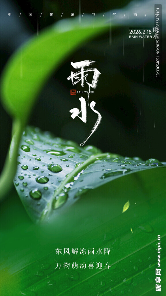 雨水嫩叶上的晶莹雨滴