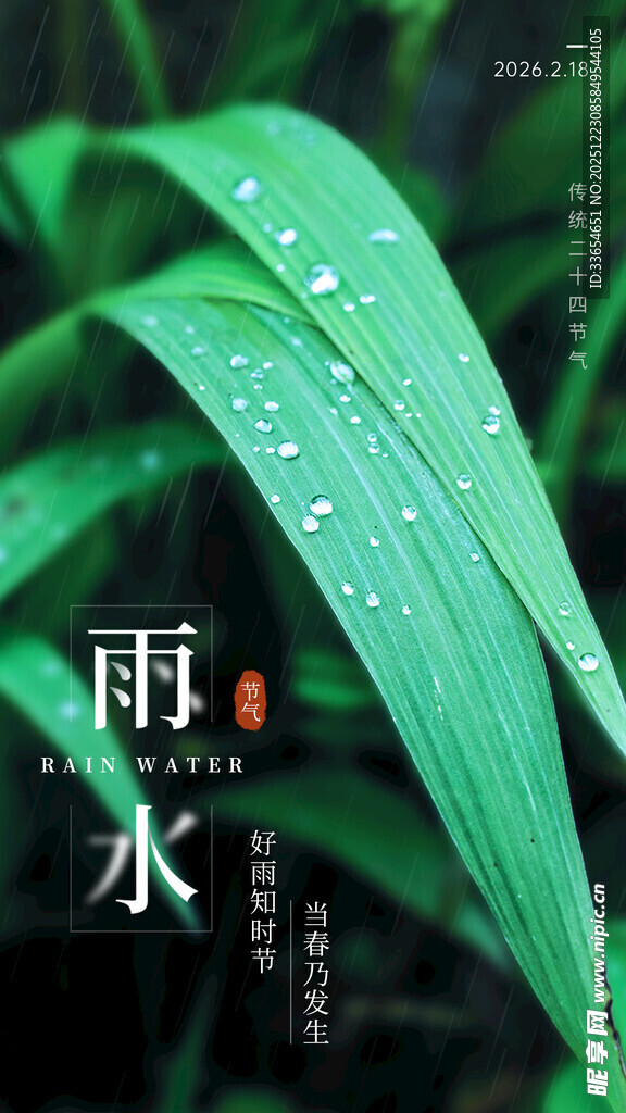 雨水时节带露的青翠叶片