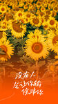向日葵花海中的励志海报