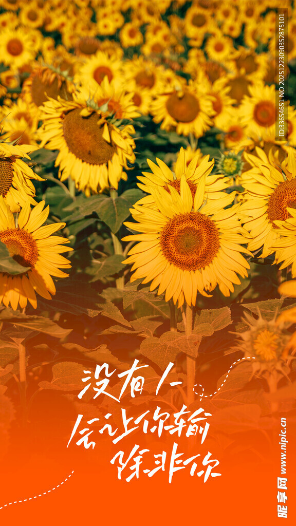 向日葵花海中的励志海报