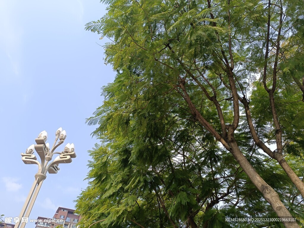 绿树旁的独特路灯景观