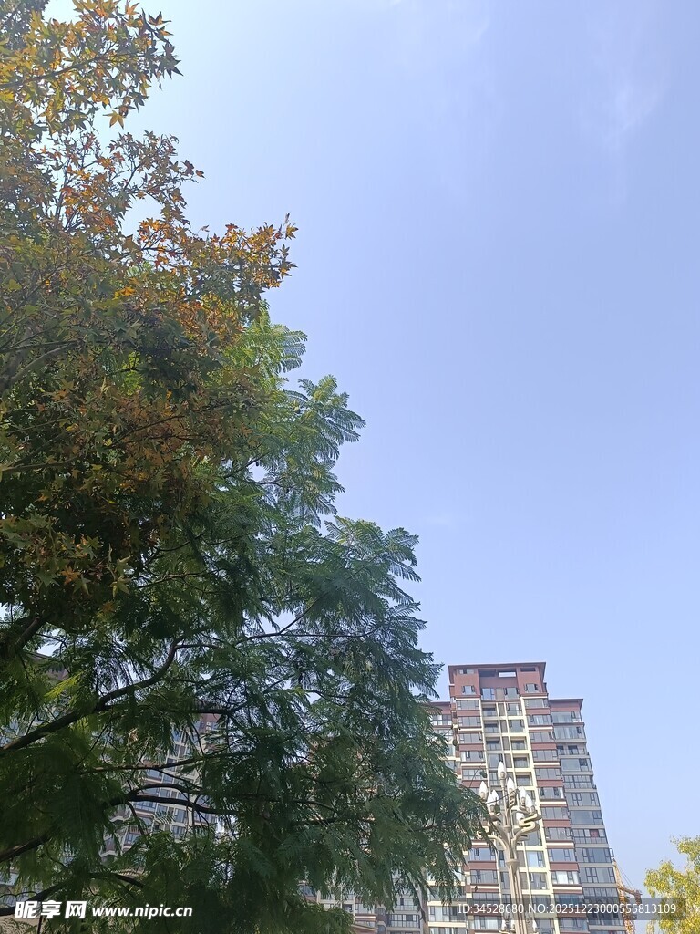 绿树掩映下的高楼景象