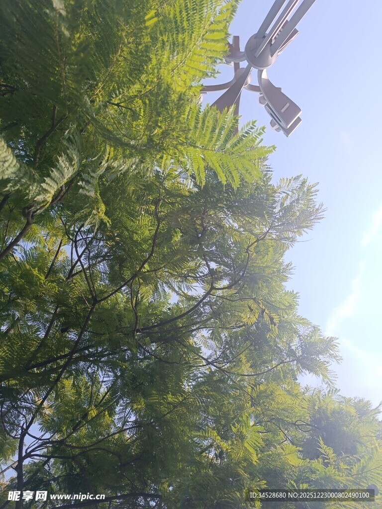 林间风车与葱郁树木