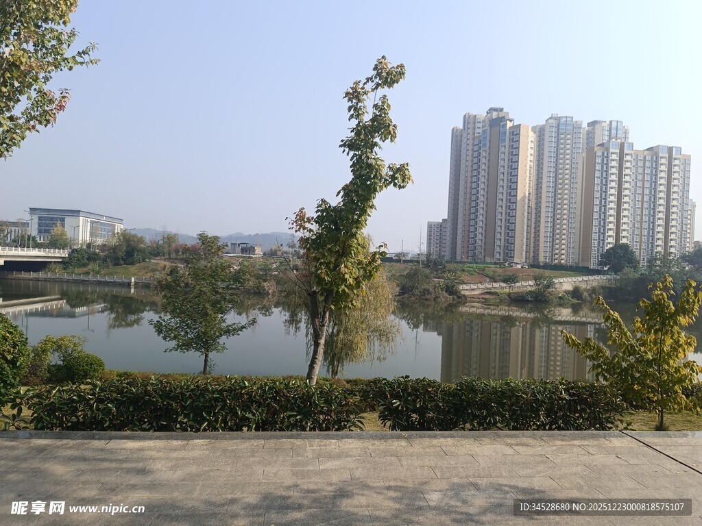 湖畔高楼与绿树景致