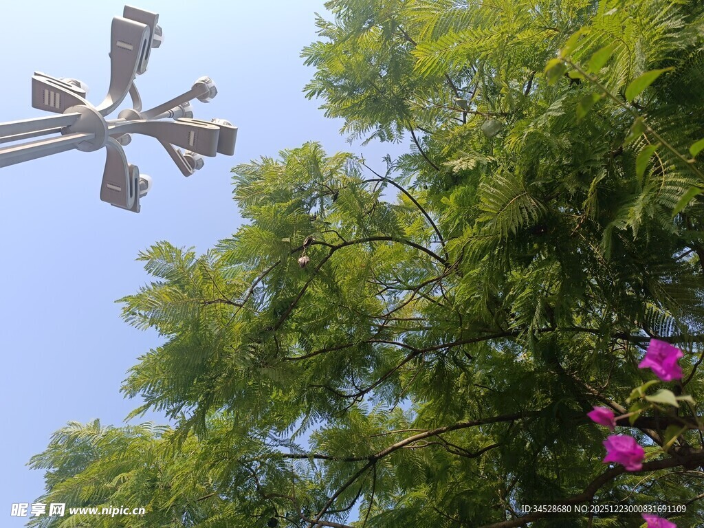 蓝天绿树间的风车装置