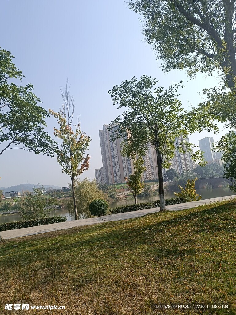 城市公园的宁静景致