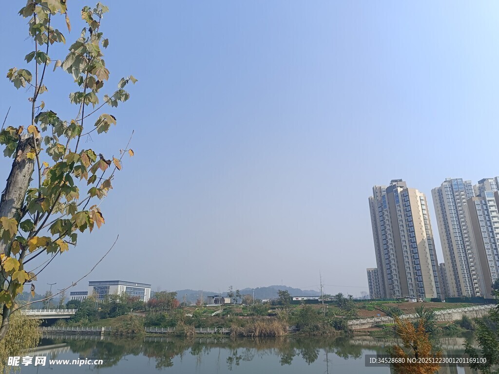 湖畔高楼与绿树景致