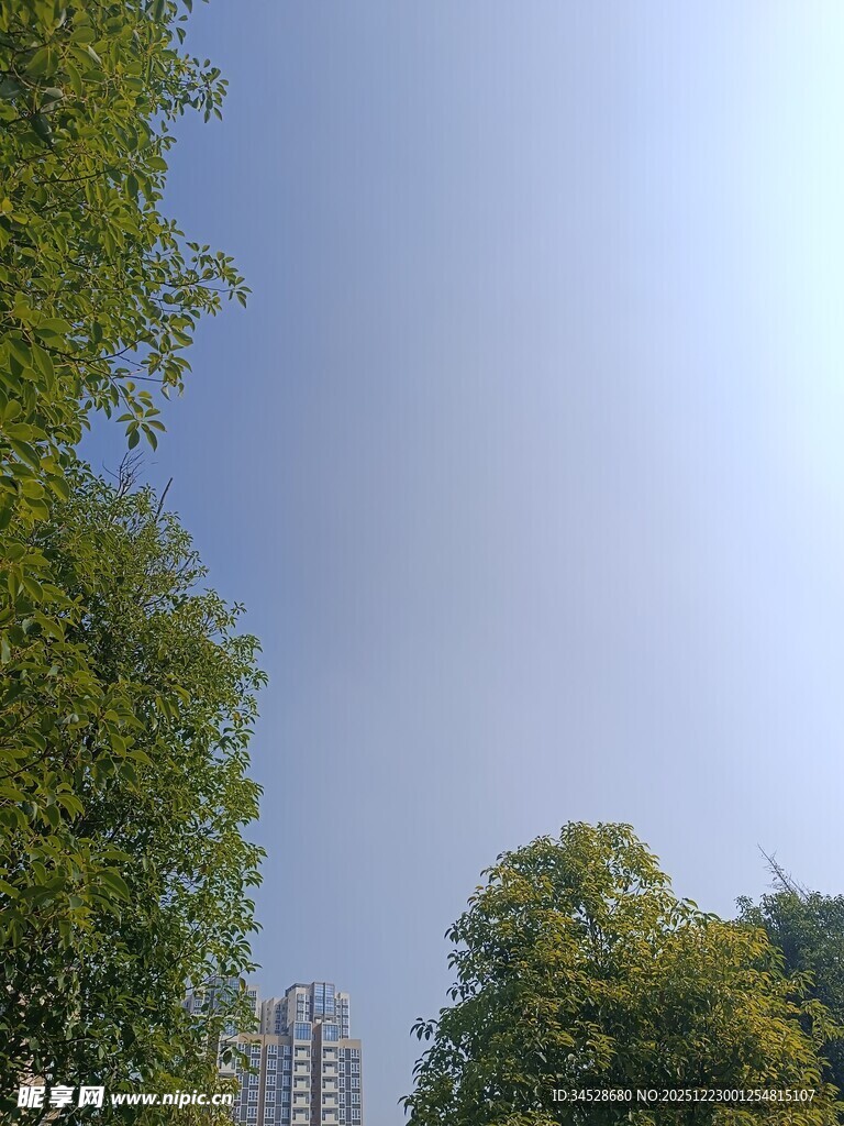 绿树蓝天间的城市景致