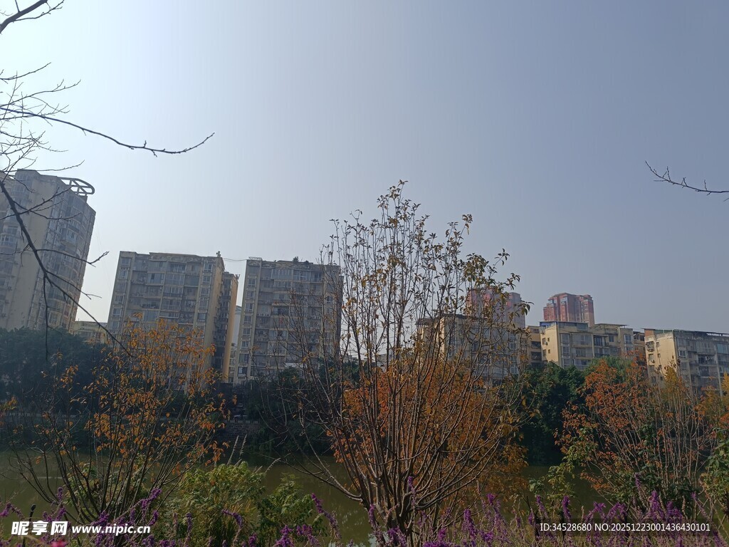 城市边缘的建筑与植被景观