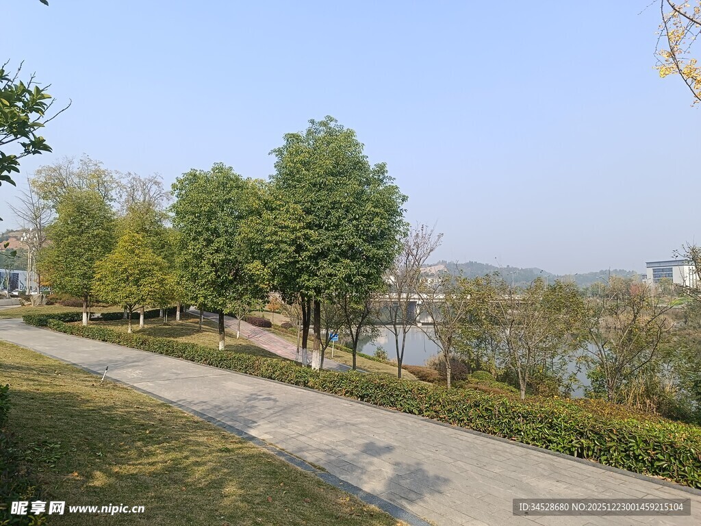 湖畔林荫小道风景