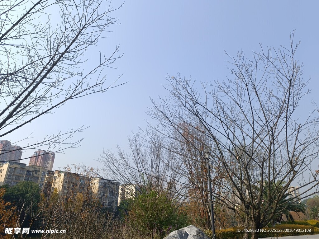 冬日城郊萧瑟景象