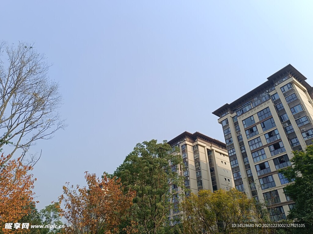 秋日下的高楼与多彩树木