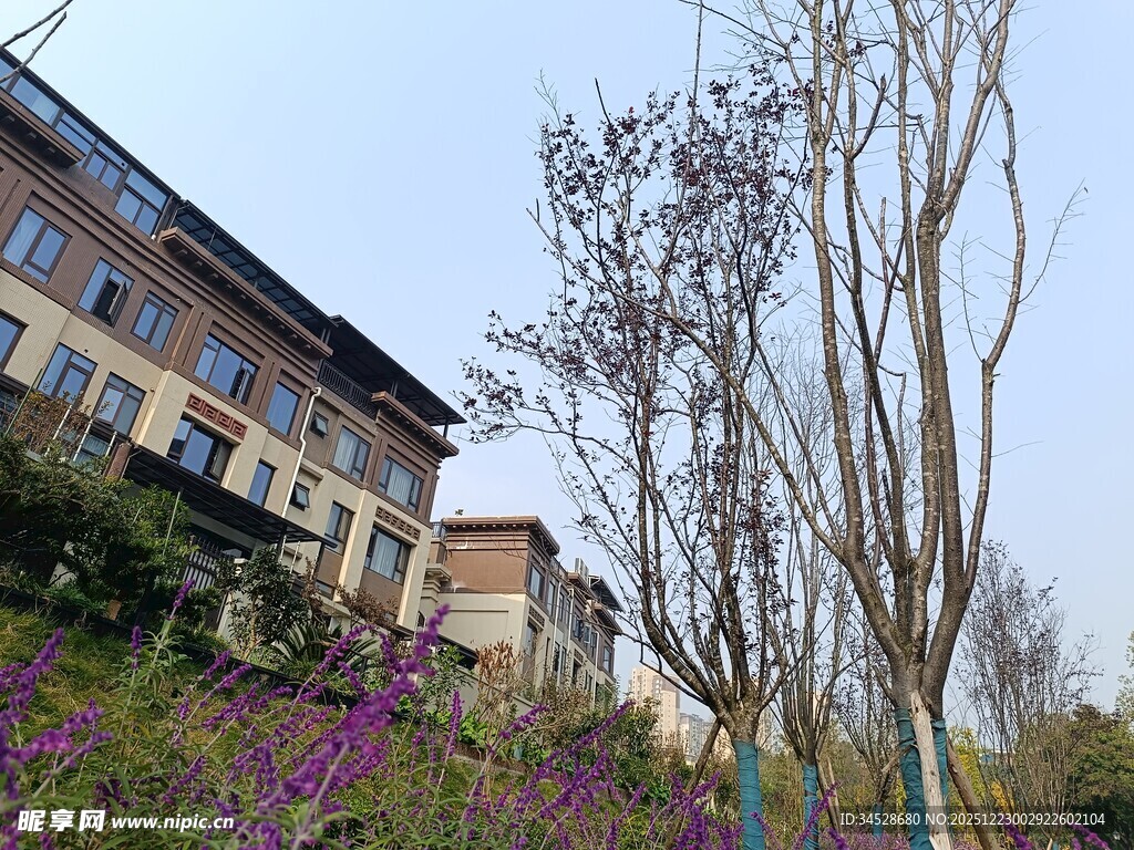 城郊多彩景致与建筑