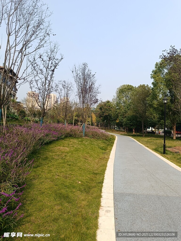 城市中的宁静林荫小道