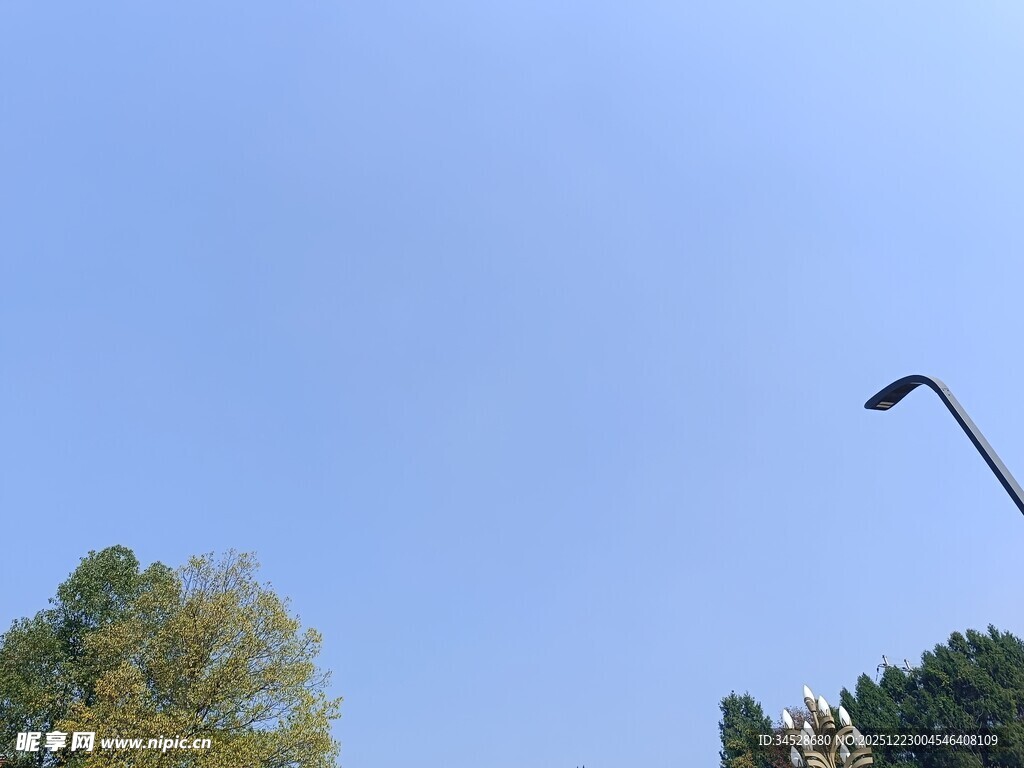 蓝天绿树旁的路灯