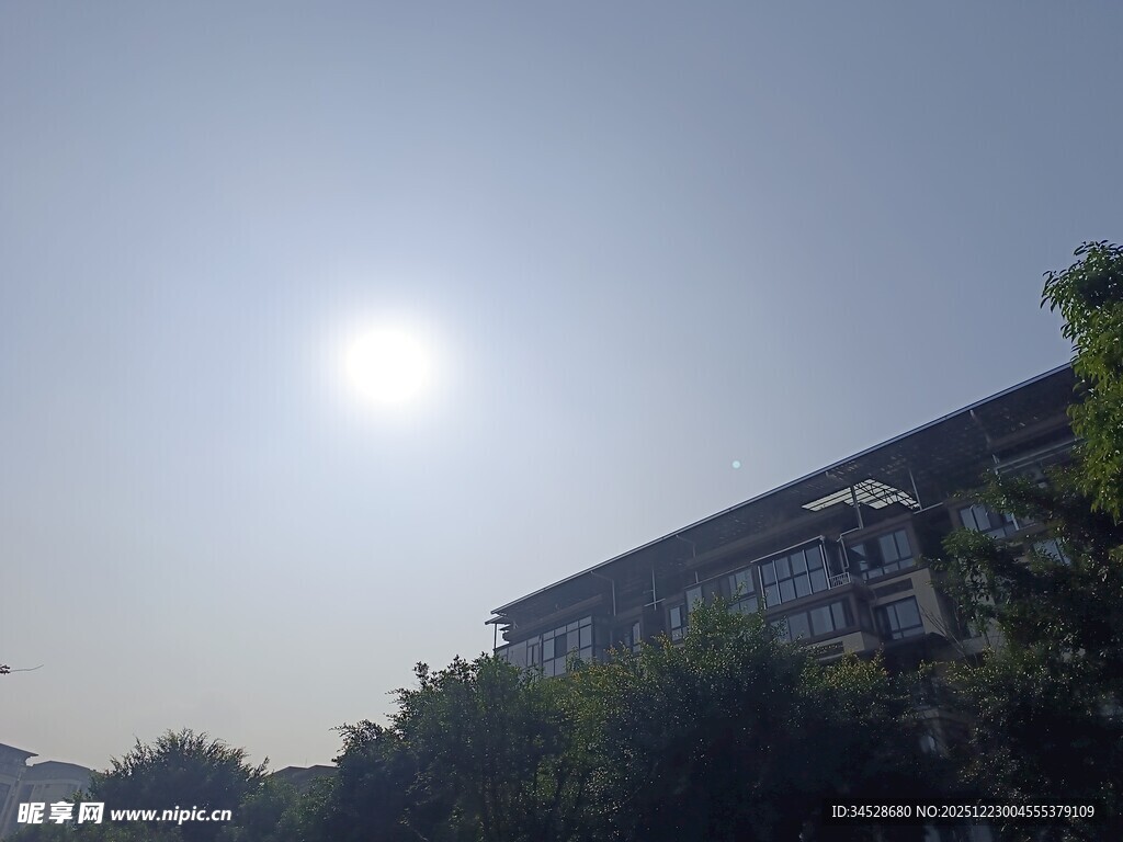 阳光下的建筑与绿植