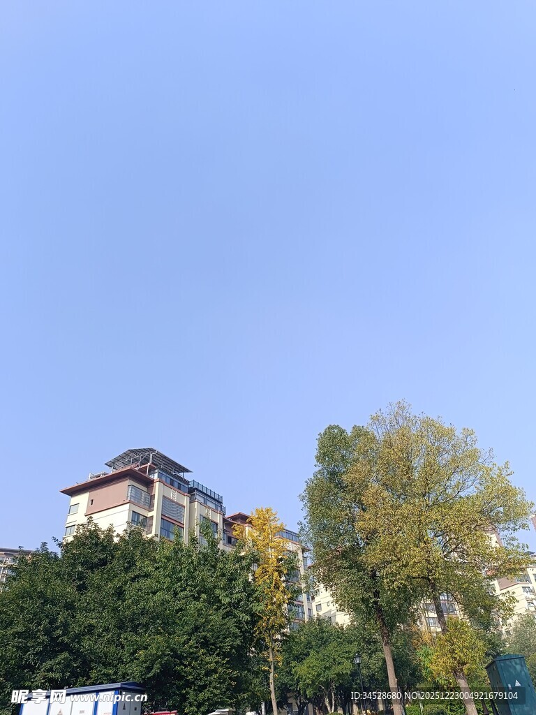 蓝天绿树旁的建筑