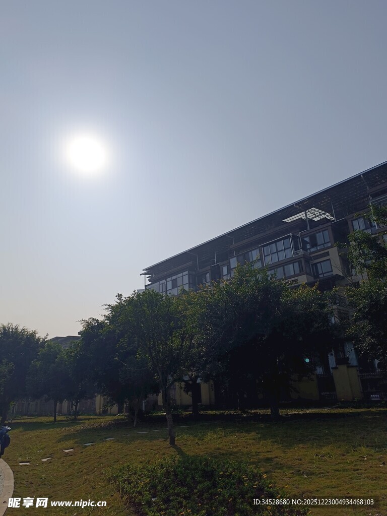 阳光下的校园建筑景观