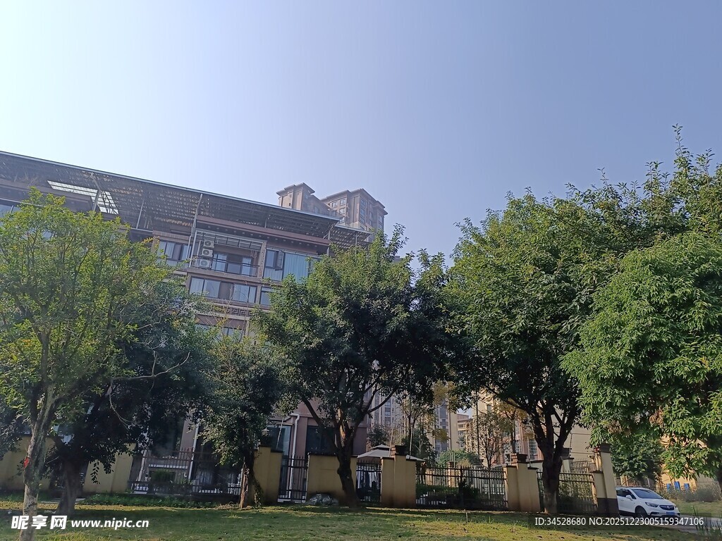 绿树环绕的多层建筑