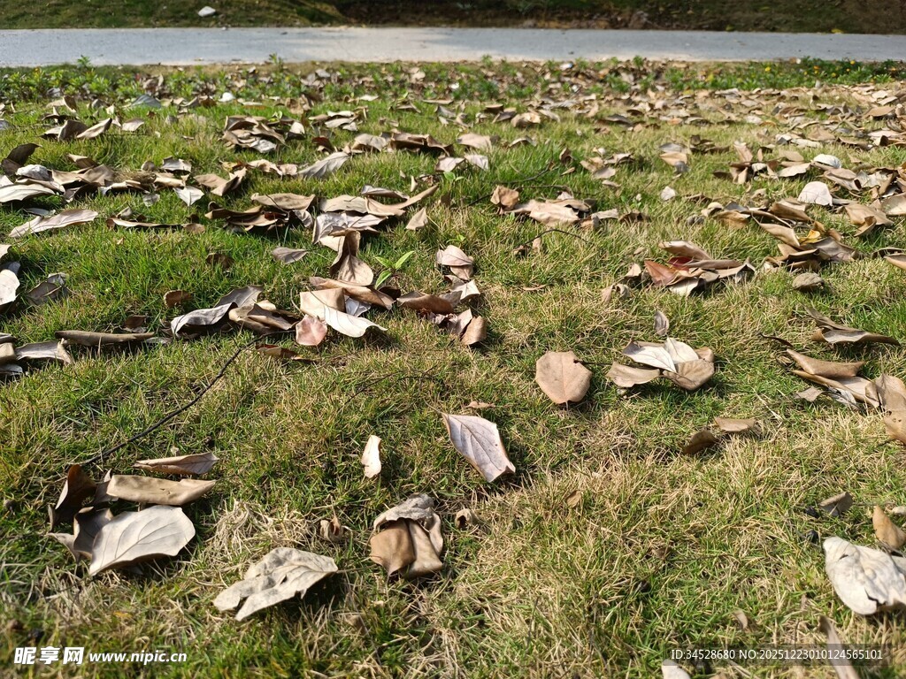 草地上散落的众多石块