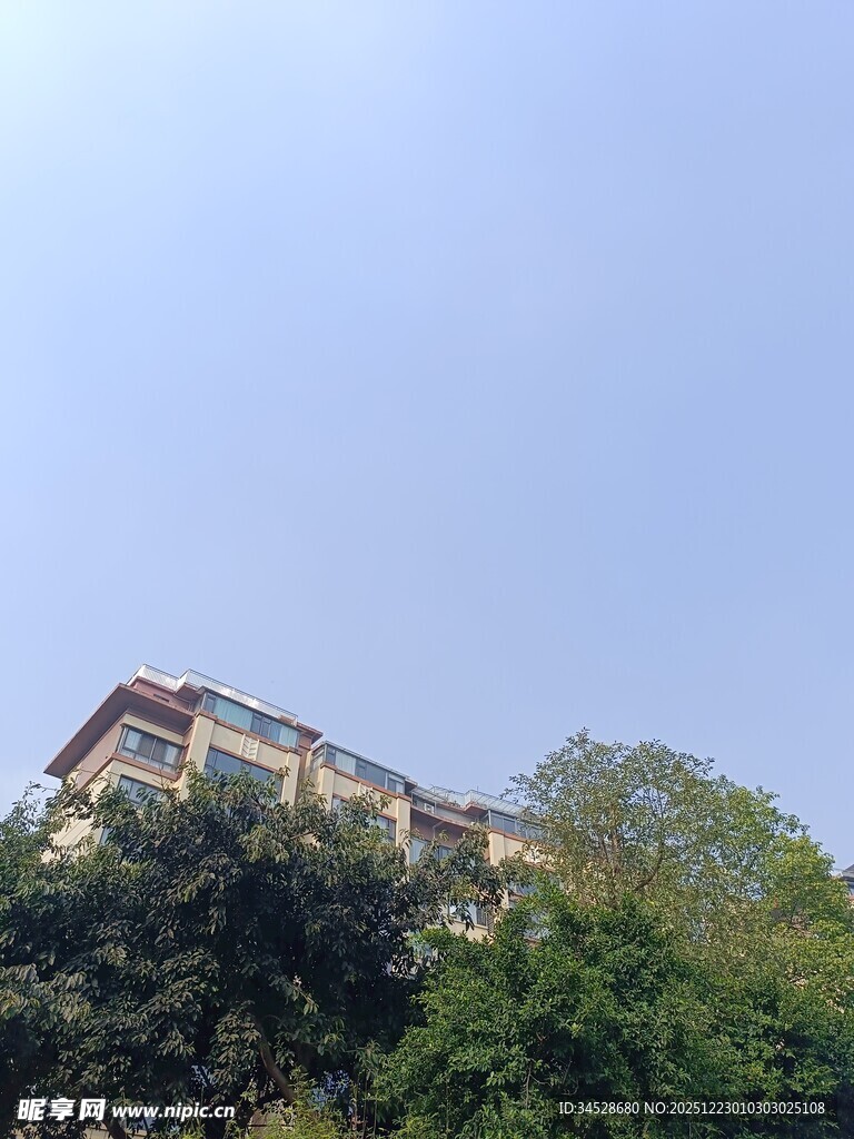 绿树环绕的多层建筑