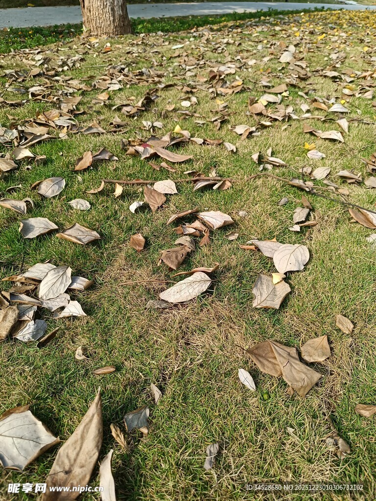 地面散落的破碎瓦片
